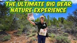 The BEST FREE Nature Hike in Big Bear? 🌲 | Big Bear Discovery Center Trail Guide