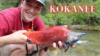 Kokanee Fishing Idaho