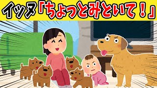 【20連発】我が子を預けてくる母親犬がもはやママ友な件ｗ【2chほのぼの】【総集編】