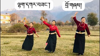 ལྷག་དཀར་བཟང་། མགོ་ལོག་སྐོར་བྲོ། བྲོ་གཞས།Tibetan Gorshey 2023#