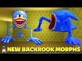 How to get New 2  FIND BACKROOM MORPHS #backroomsmorphs #roblox #backrooms