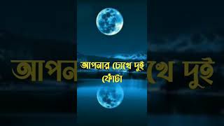 ইসলামিক ছন্দ | islamic Sandhu| Torikul TV 2.0