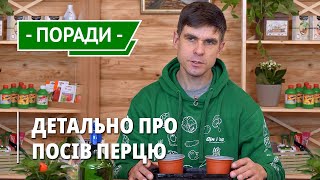 Перець гострий кімнатний. Посів у горщики для вирощування на підвіконні. Розсада з насіння