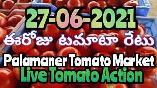 Palamaner Tomato Action Live || పలమనేరు టమోటా యాక్షన్ Live