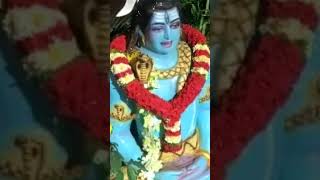 நீங்கள் உண்மையில் சிவ பக்தர்களாக இருந்தால்#comment #share#ytshorts#trending #youtube #viral video