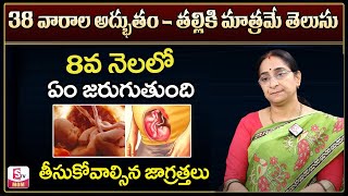 Ramaa Raavi - ప్రెగ్నన్సీ 8వ నెల లక్షణాలు - శిశువు ఎదుగుదల | Pregnancy 8th month Symptoms | SumanTV