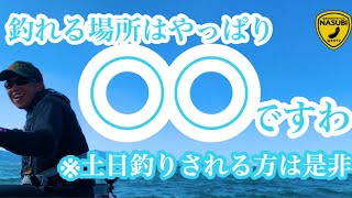 【最新情報】今の琵琶湖南湖アソコが釣れる理由について！