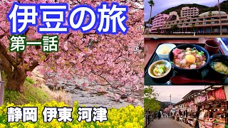 【伊豆の旅】伊東マリンタウン・河津桜まつり／伊豆下田への家族一泊旅行（第一話）