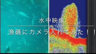 漁礁にカメラ突っ込んでみた。水中映像　ジギング　オフショア