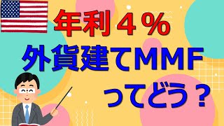 年利４％の外貨建てMMFってどう？【FIRE投資家が解説】