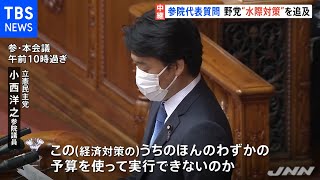 参議院代表質問 野党“水際対策”を追及