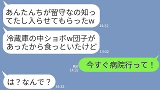 【LINE】私たちの結婚記念旅行中を狙って我が家に侵入して冷蔵庫の中身を勝手に食べたママ友「団子あったから全部食ったw」→実は絶対食べてはいけない団子で泥ママに衝撃の異変が…www