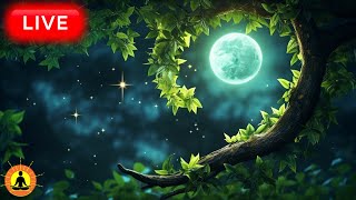 🔴 Night Relaxing Music 24/7, Calming Stress Relief Music, Sleep Meditation, Night Forest Ambience