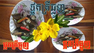 FERMENTED MUD FISH  ផ្អកត្រីឆ្លូញ