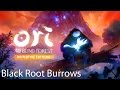 Ori and the Blind Forest: Definitive Edition Walkthrough: Black Root Burrows