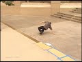 jeremy wray skateboarding classic clips 37 ollie one step beyond