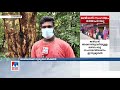 മരങ്ങള്‍ നശിപ്പിച്ച് ചാരായം വാറ്റുസംഘം ഗുരുതര ഭീഷണി palakkad liquor tree