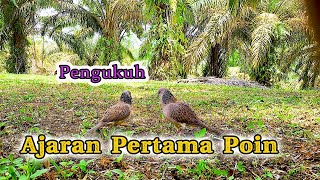 POIN TEKUKUR PENGUKUH