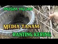 MEDIA TANAM MUSIM PENGHUJAN ll AGAR TANAMAN TUMBUH SUBUR