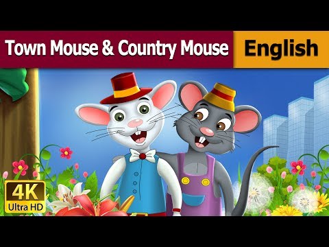 Why did the country mouse want to visit the town mouse?