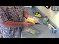 how to freeze squash two different ways that work