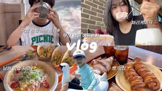 vlog | 냅다 먹방 찍는 여름휴가 브이로그 🙄 | 부산 뒷고기맛집 돼지국밥 체리케이크 | 남해 신상핫플 때깔로무역 타코 더코브남해 스시롤 | 앵강다숲 수영장