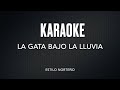 Karaoke - la gata bajo la lluvia - norteño #acordeon #norteño #karaoke  #lagatabajolalluvia