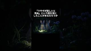 寂しいと死ぬは都市伝説であるウサギの雑学