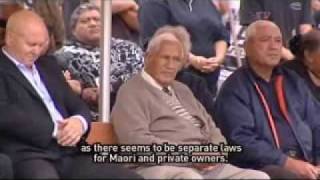 The government want the foreshore accessible to all New Zealanders Te Karere TVNZ 8 Jun 2010.wmv