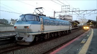 JR貨物　単1783レ最終号機EF66-133通過　2014.03.23