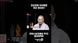 천상천하 유아독존 무슨 뜻이지? l 이야기 깨달음 지혜 불교 [불교대백과_원영스님] #shorts