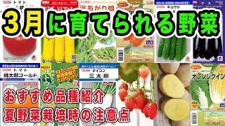 3月に育てられる野菜　おすすめ品種と夏野菜の注意点も