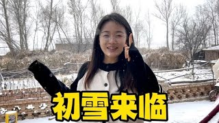 内蒙古初雪来临天气降温，老妈做了莜面窝窝配上大烩菜热乎乎真香