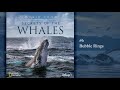 Music from Secrets of the Whales - Bubble Rings (Soundtrack by Raphaelle Thibaut)