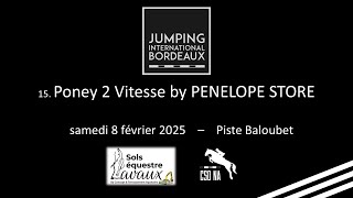 15. Poney 2 Vitesse by PENELOPE STORE