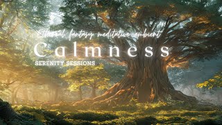 Unveil the Magic of An Enchanted Forest: Calming Meditation for Everyone