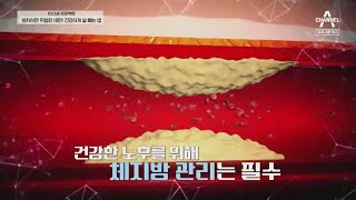 [예고] 과식과 폭식은 뱃살의 주범! 탄수화물 중독이 몸속 시한폭탄을 만든다 | 100세 프로젝트 61 회