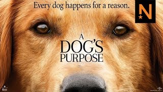 ‘A Dog’s Purpose’ Official Trailer