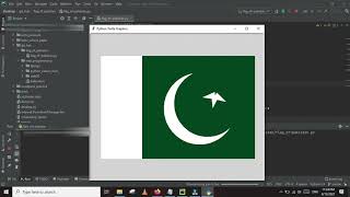 Pakistan Flag in Python Programming