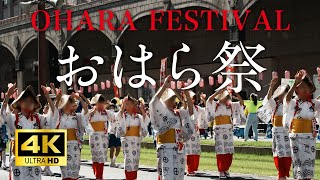 南九州最大!!「第71回 おはら祭」鹿児島市 天文館2022年11月3日本まつり