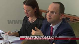 Sharje në Komisionin e Jashtëm - News, Lajme - Vizion Plus