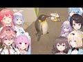 Hololive Members reaction to The Shoplifting Penguin (eng sub)