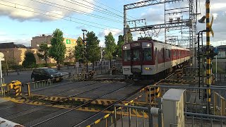 近鉄1252系VE62+8400系L06編成の急行京都行き 寺田駅