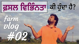 Farm Vlog #02 || new concept in Punjabi || \