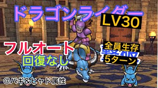 【ドラクエウォーク】ドラゴンライダーLV30 フルオート回復なし撃破【DQW】