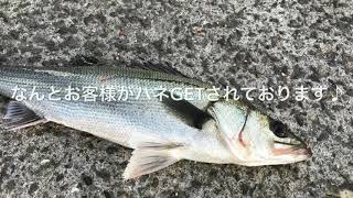 2/11 fishingmax泉大津店リアルタイム