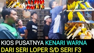 REKOMEND KIOS PUSAT BURUNG KENARI TERLENGKAP HARGA MURAH DI PASAR BURUNG PRAMUKA HARI INI