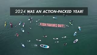 A Year For Wild Salmon - 2024 End Of Year Movie - Clayoquot Action