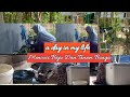 A DAY IN MY LIFE || KEGIATAN IBU RUMAH TANGGA MENCUCI BAJU DAN MENANAM BUNGA