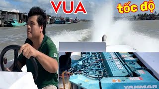 Yanmar thủy 6 LY dòng cao tốc Ông Vua tốc độ vùng sông nước Năm Căn Cà Mau